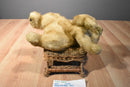 MJC Purr-fection Honey Gold Bear 1992 Plush
