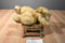 MJC Purr-fection Honey Gold Bear 1992 Plush