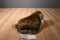 Sea World Brown Walrus Plush