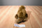 Sea World Brown Walrus Plush