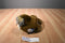 Sea World Brown Walrus Plush