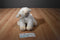 Baby Gund Musical White Lamb Heavens Blessings Gracious Waggie Plush