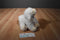 Baby Gund Musical White Lamb Heavens Blessings Gracious Waggie Plush