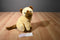 Ty Beanie Buddy Siam the Siamese Cat 2002 Beanbag Plush