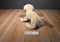 Douglas Yellow Lab Mandy