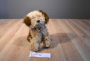 Ty Classic Jax the Beige and Brown Shaggy Dog 2006 Beanbag Plush