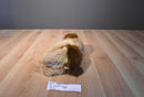 Ty Classic Jax the Beige and Brown Shaggy Dog 2006 Beanbag Plush
