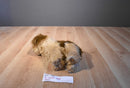 Ty Classic Jax the Beige and Brown Shaggy Dog 2006 Beanbag Plush