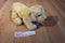 Dan Dee Yellow Lab Beanbag Plush