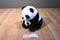 A&A Panda and Baby Plush