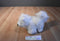 Ganz Webkinz Samoyed Dog HM176 Beanbag Plush No Code