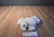 Ganz Webkinz Samoyed Dog HM176 Beanbag Plush No Code