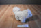 Ganz Webkinz Samoyed Dog HM176 Beanbag Plush No Code