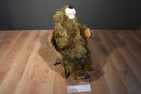 Build a Bear Groundhog Punxsutawney Phil Plush