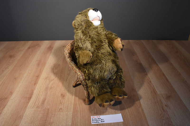 Build a Bear Groundhog Punxsutawney Phil Plush