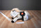 Wells Fargo El Toro White Pony 2014 Plush