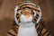 Build a Bear Bengal Tiger 2015 Plush