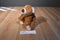 Ty Pluffies Slumbers Brown Bear 2002 Beanbag Plush