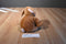Ty Pluffies Slumbers Brown Bear 2002 Beanbag Plush