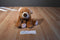 Ty Pluffies Slumbers Brown Bear 2002 Beanbag Plush