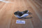 Pacific Life Humpback Whale Plush