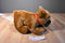 Build a Bear Boxer Puppy Dog Plush