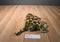 Sesil Toys Leopard Beanbag Plush