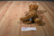 Aurora Flopsies Lion Cub Beanbag Plush
