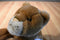 Aurora Flopsies Lion Cub Beanbag Plush