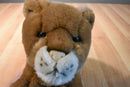 Aurora Flopsies Lion Cub Beanbag Plush