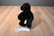 Aurora Floppy Black lab Puppy Dog Beanbag pPush