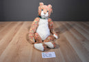 Ty Classic Allioop Orange and Green Cat 2000 Beanbag Plush