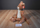 Ty Classic Allioop Orange and Green Cat 2000 Beanbag Plush