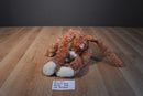 Ty Classic Allioop Orange and Green Cat 2000 Beanbag Plush