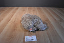 Ty Classic Java Brown Bear 2002 Beanbag Plush