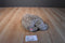 Ty Classic Java Brown Bear 2002 Beanbag Plush