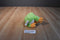 Mary Meyer Sweet Rascals Tad the Green Tree Frog Beanbag Plush