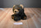 Bearington Collection Brown Bear Beanbag Plush
