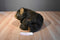 Bearington Collection Brown Bear Beanbag Plush