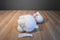Family Christian Store James Fund White and Beige Lamb Beanbag Plush