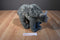 Fiesta Triceratops Dinosaur 2012 Plush
