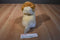 Gund Boo the Shaved Pomeranian Beanbag Plush