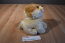 Gund Boo the Shaved Pomeranian Beanbag Plush