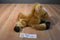 Aurora Flopsies Tan Brown Golden Horse Pony Beanbag Plush