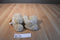 Gund Gibson Beige and Brown Dog Beanbag Plush