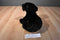 Princess soft Raven the Black Lab 2005 Beanbag Plush