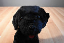 Princess soft Raven the Black Lab 2005 Beanbag Plush