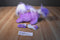 Just Play Ed Kaplan Puppy Surprise Purple Dog Coco 2015 Plush