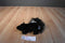 Douglas Striper the Skunk