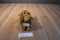 Animal Alley Beige and Brown Puppy Dog Plush